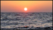 Gulf of Mexico