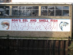 eels.jpg