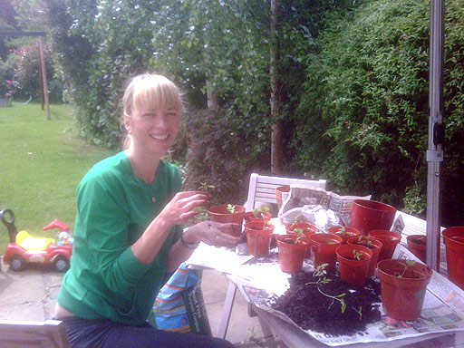 sara_tomato_plants.jpg