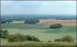 View of fields 