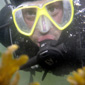 Nemo?