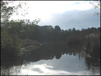 Pond
