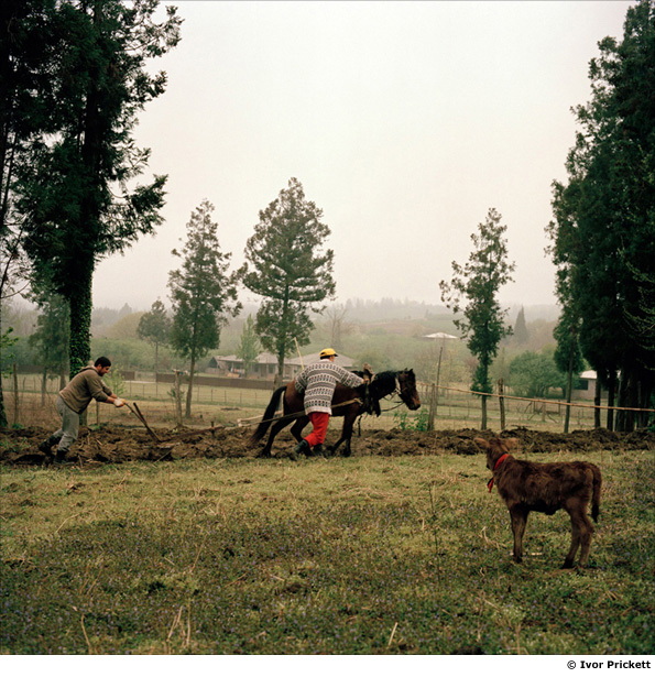 Farmers in Gali