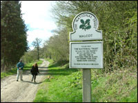 The end of the walk