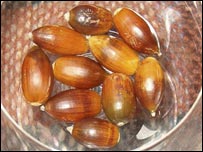 10_nut203.jpg