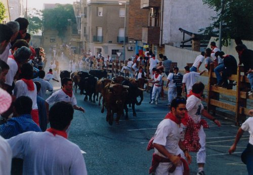 running-bull.jpg