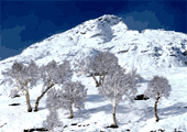 blo_nayeema_himachal170.gif
