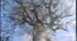 akie's video screenshot thumbnail