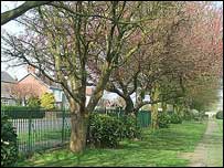 Hornscroft Park