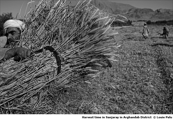 Harvesting