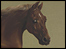 Whistlejacket by Stubbs: © The National Gallery