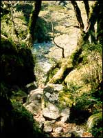 Arthurs Pass