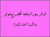 نیلوفر