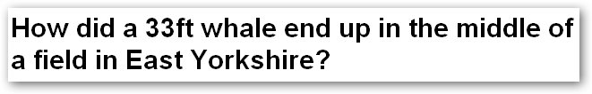 Daily Mail headline