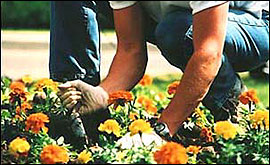 Gardener.