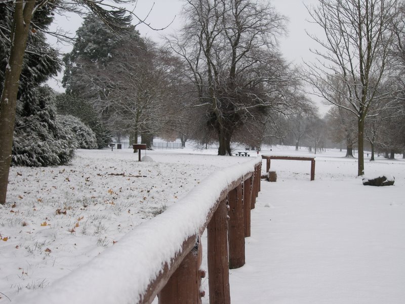 A park in Dundee