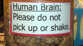 a brain in a jar