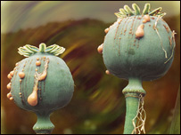 صدای آبادی