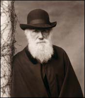 Darwin