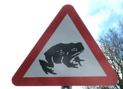 sign3.jpg