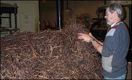 Leaf grading