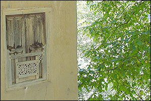 ماسوله