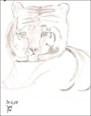Young tiger cub
