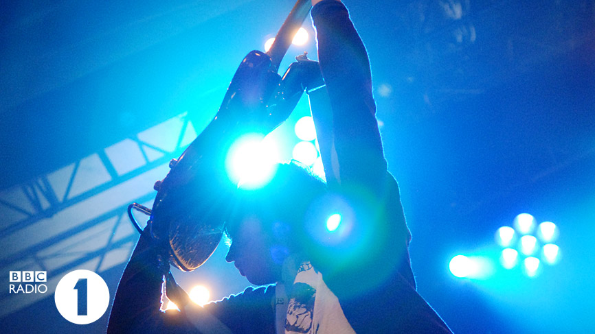 The Wombats