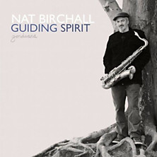 Review of Guiding Spirit 