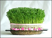 سمنک