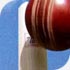 Story of Cricket