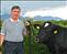 Harold prepares for the Balmoral Show with Big Ben the bull