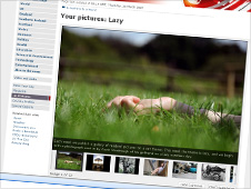 226lazy.jpg