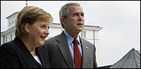 bushmerkel_203.jpg