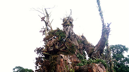 The real Green Man