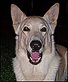 Milo