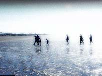 people on a beach