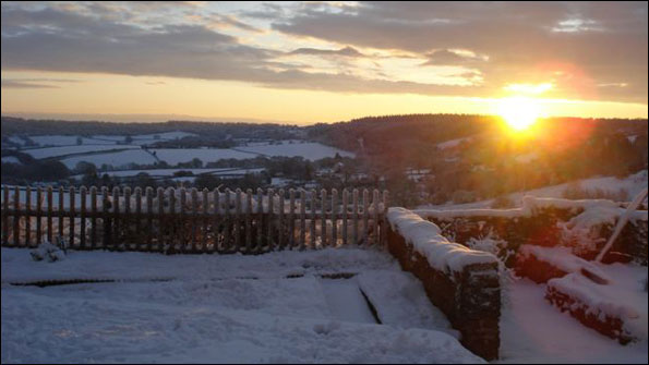 shortstanding-snow-frances-.jpg