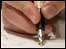 pen