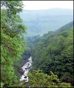 View of Swaledale