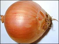 onion.jpg