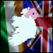 The Irish and British flags