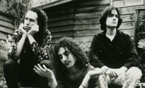 The Werefrogs