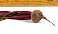 Harvest your beetroot