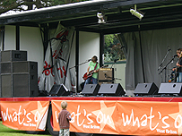 Gig on the Green