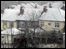 Henleaze snow - Lisa Rowell