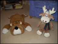 Tigger and Clive