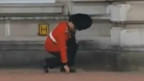 「傻步操」衛兵