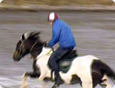 Horse riding