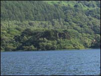 Wooded island